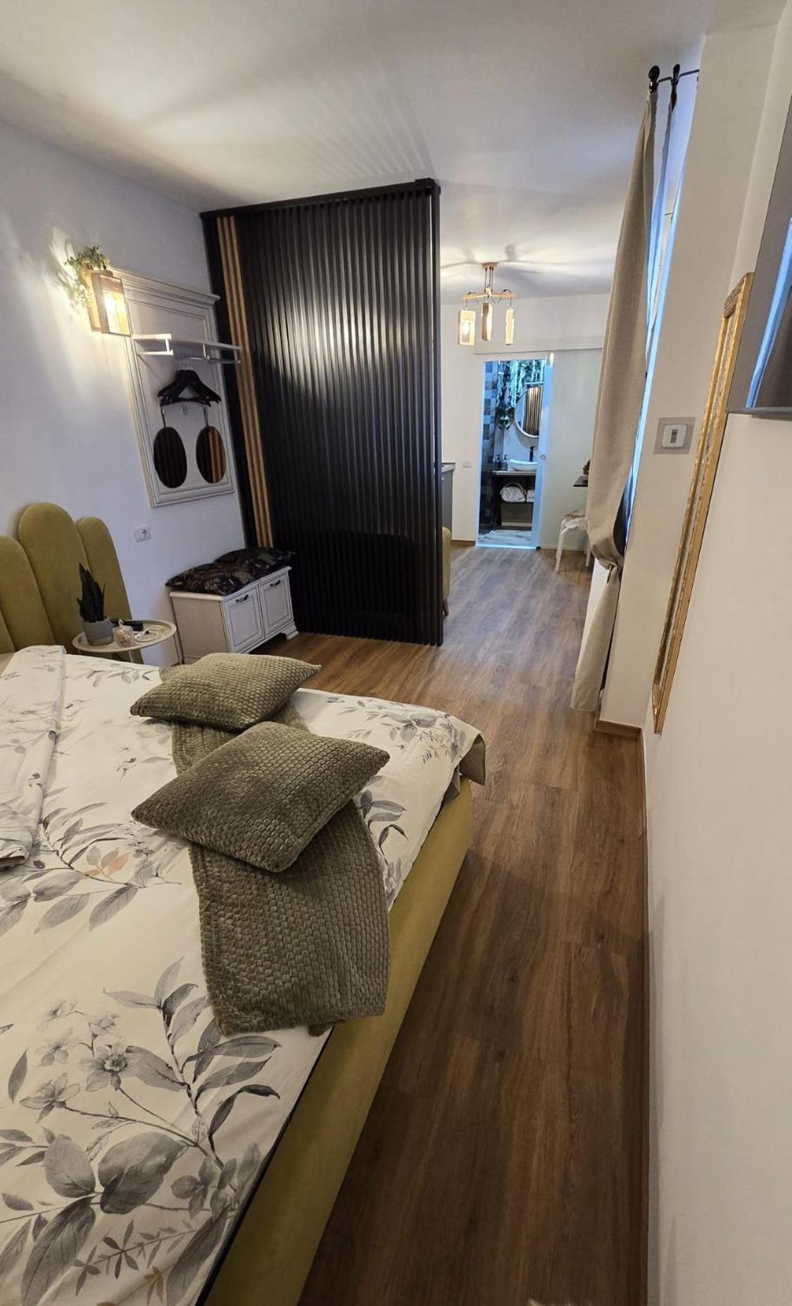 For Silence Apartment Sibiu